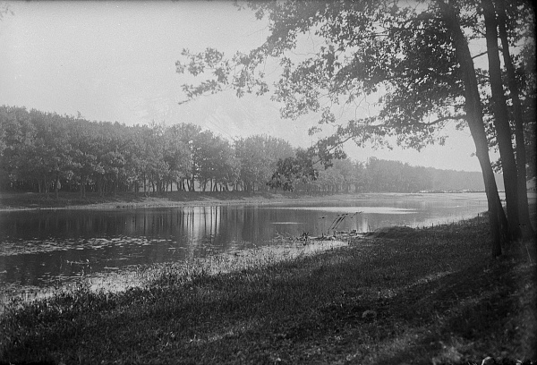 Лекция «Искусство и документальность: пикториальная фотография»