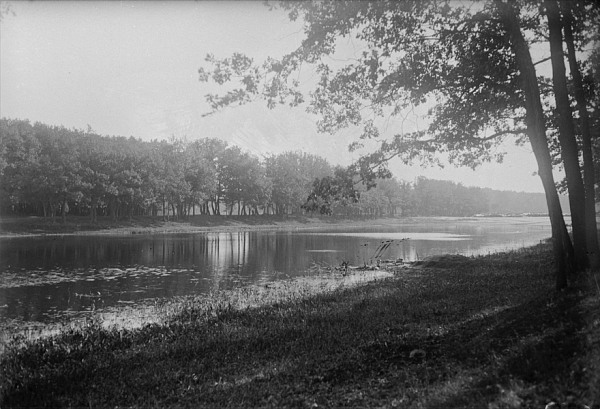 Лекция «Искусство и документальность: пикториальная фотография»